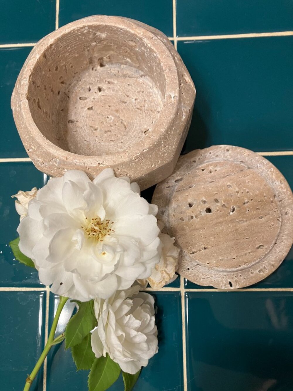 Magnolia travertine canister